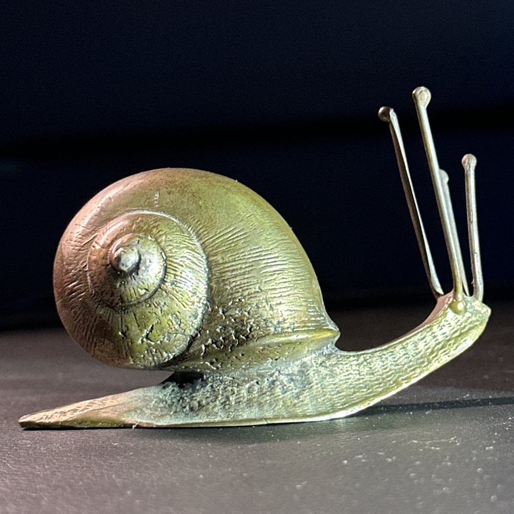 La stessa lumaca di ottone fotografata in casa su un fondo scuro